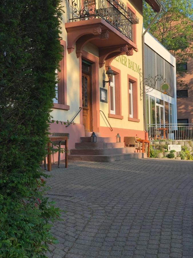 Hotel & Restaurant Gruener Baum Merzhausen Eksteriør bilde