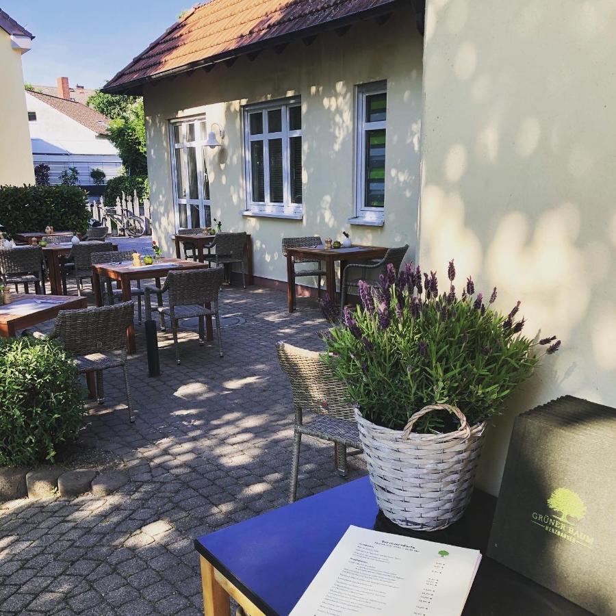 Hotel & Restaurant Gruener Baum Merzhausen Eksteriør bilde